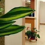 Hotel Gf